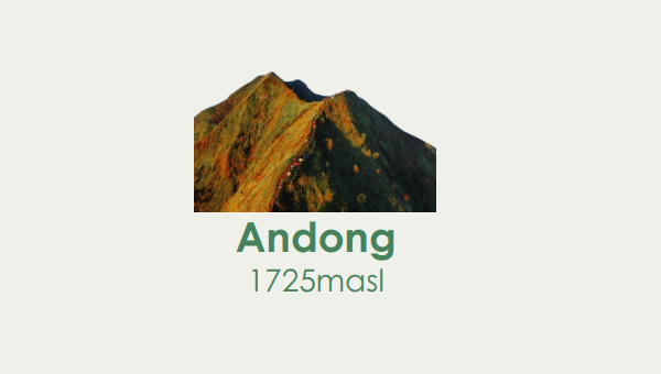 Andong Package