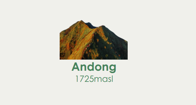 Andong Package