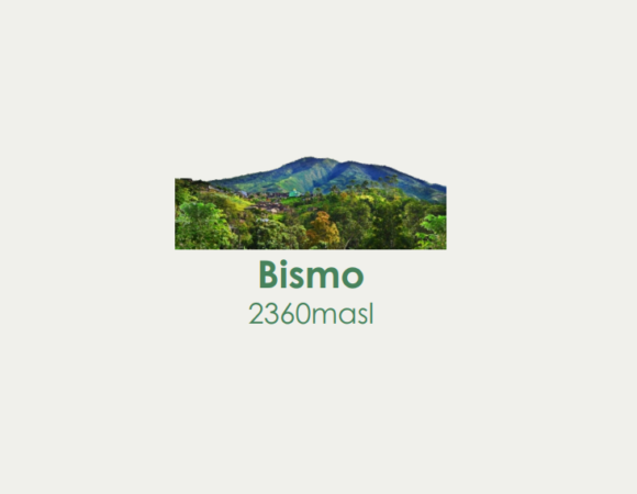 Bismo Package