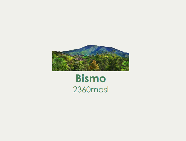 Bismo Package