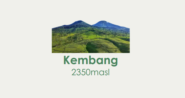 Kembang Package