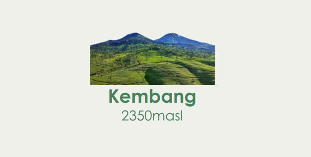 Kembang Package