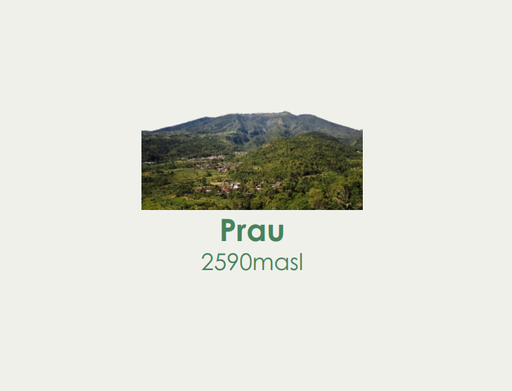 Prau Package