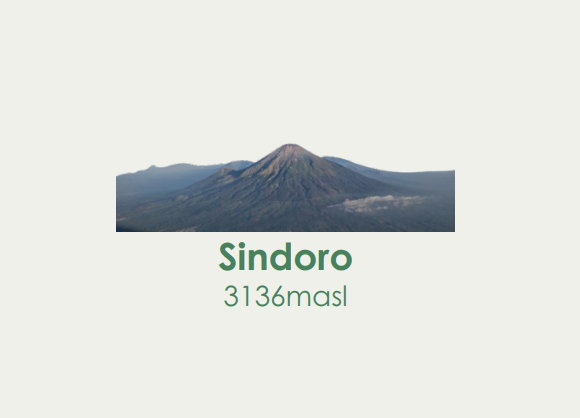 Sindoro Package