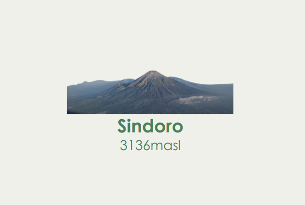 Sindoro Package