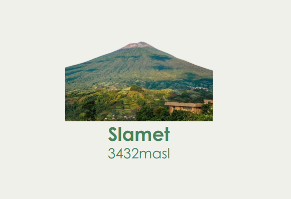Slamet Package