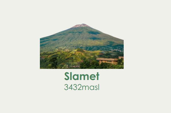Slamet Package