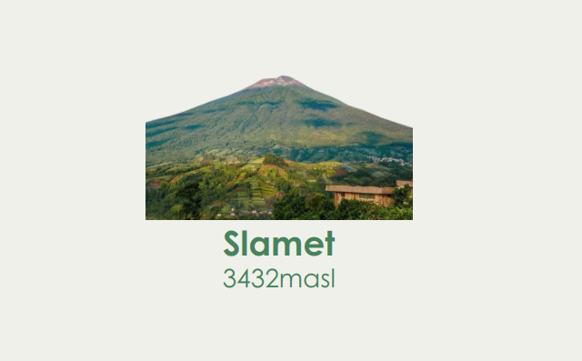 Slamet Package