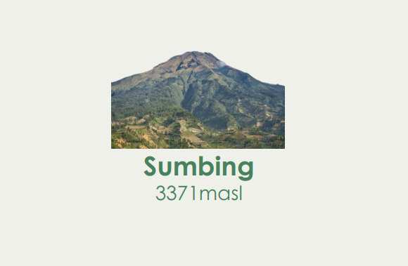 Sumbing Package