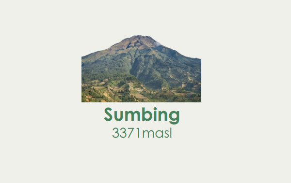 Sumbing Package