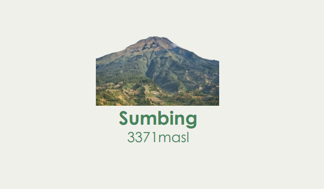 Sumbing Package